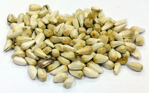 花籽 Safflower seed