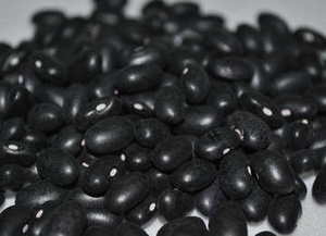 黑雲豆Black kidney bean