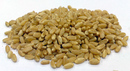 黃金麥 Yellow Wheat