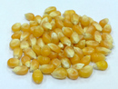 玉米花 (磨菇形-蝴蝶形) Popcorn